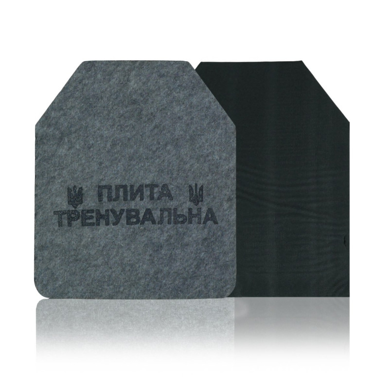 Сталеві тренувальні плити 2 шт