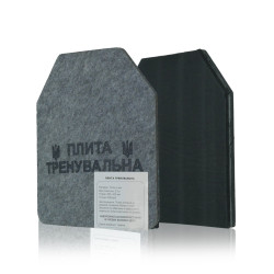 Сталеві тренувальні плити 2 шт