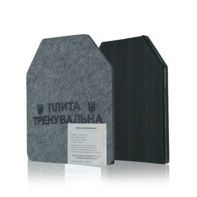 Сталеві тренувальні плити 2 шт