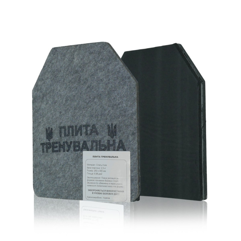 Сталеві тренувальні плити 2 шт